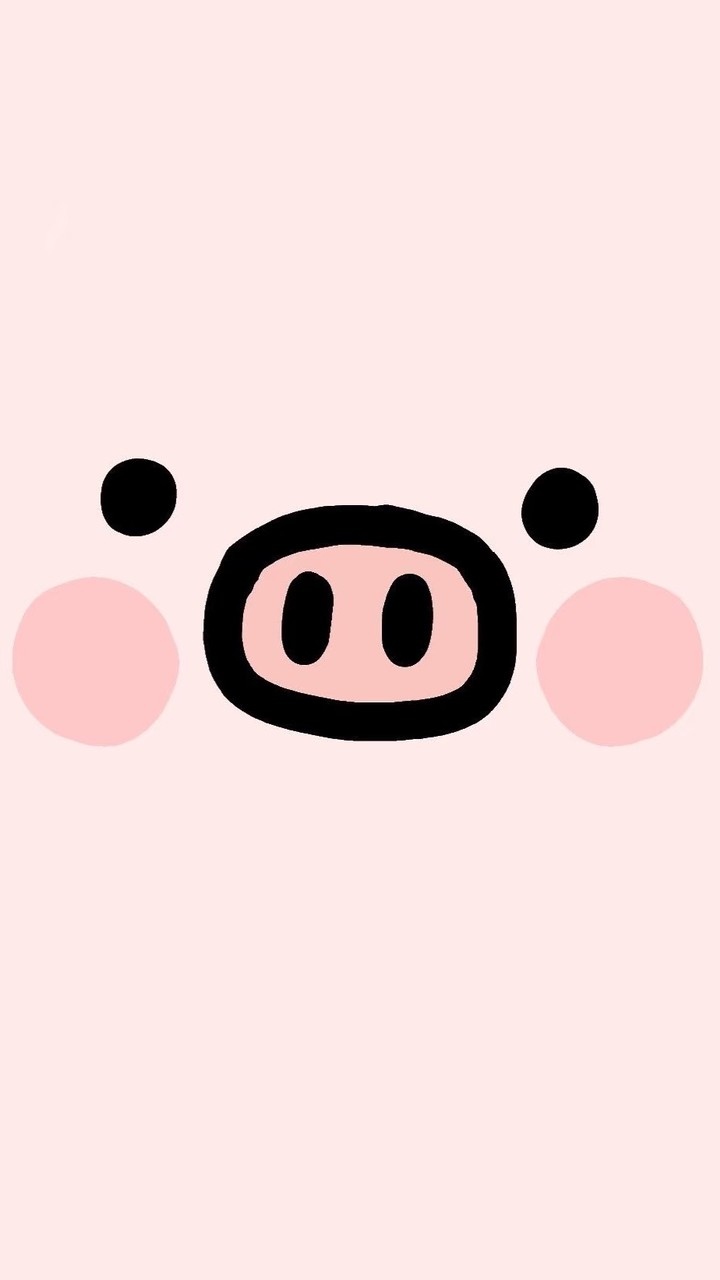 哈哈的秘密基地🐷