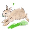 🌼ADHDを楽しむ研究会🌼