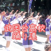 第29回 渋谷おはら祭：武岡台高校踊り連