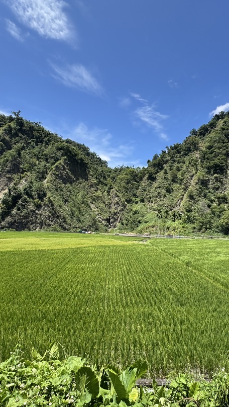 蘆洲神醫