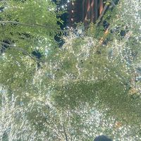 戰友兼酒友