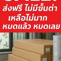 Sales ของแต่งบ้าน​ เฟอร์นิเจอร์​ อุปกรณ์​ปลูก​ต้นไม้​ บางพลี