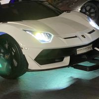桃園-童車群