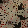 Youのための折恋ハント 🃏🫵🏻