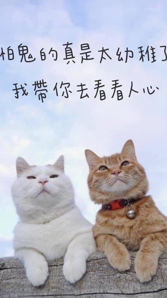 關於感情問題一律建議分手