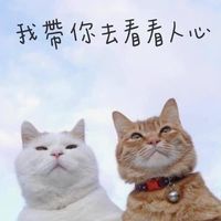 關於感情問題一律建議分手