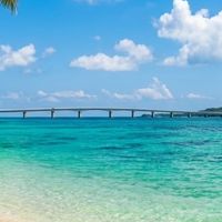 🥰承認なし🥰ぼちぼち話しませんか｡✧｡･ﾟ全国の50代60代🙌