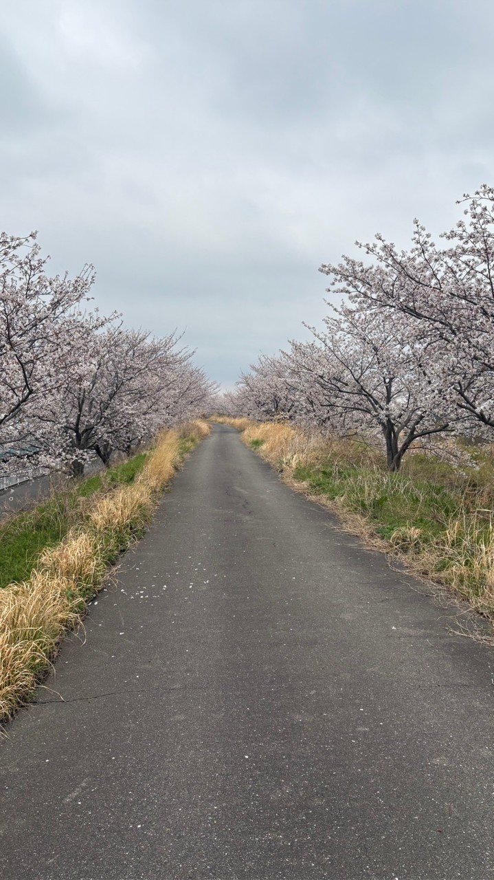 【オープンチャット】2026年県キャンプ　連絡