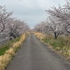 【オープンチャット】2026年県キャンプ　連絡