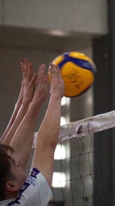 TSE Volleyball