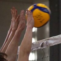 TSE Volleyball