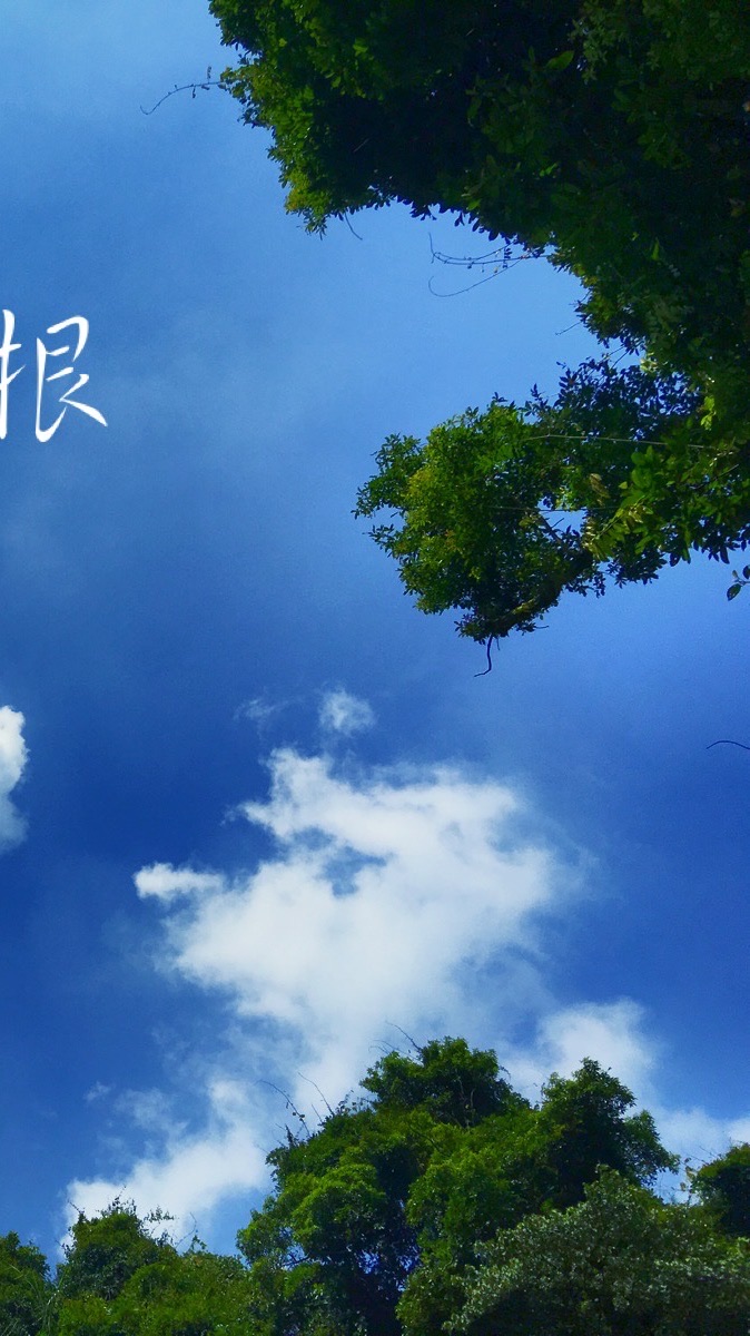 尋夢聊天