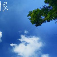 尋夢聊天