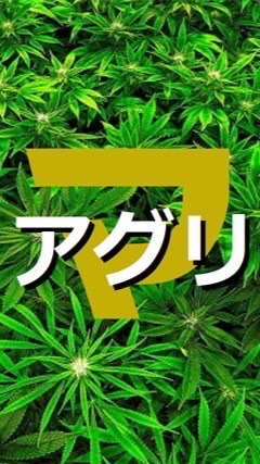 CBD凍結解凍覚醒法✖️マネーダムのオープンチャット