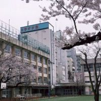 Rp (daily life)