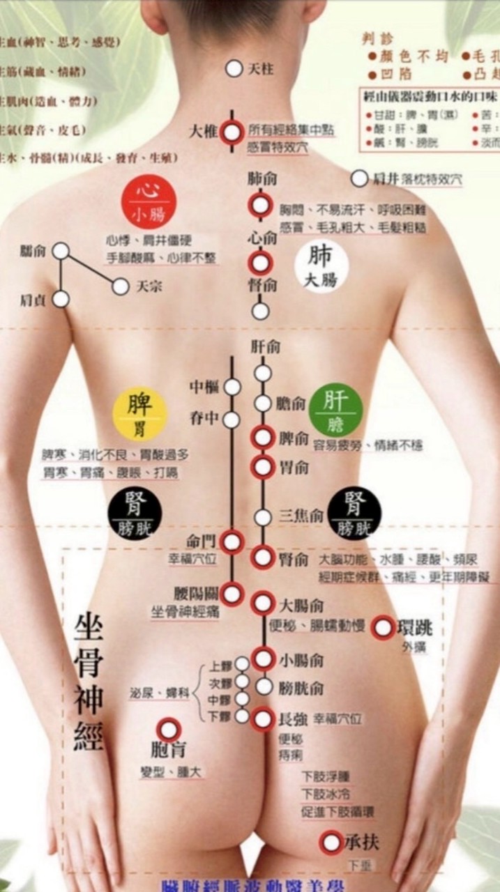 大中華護椎知識推廣會社群