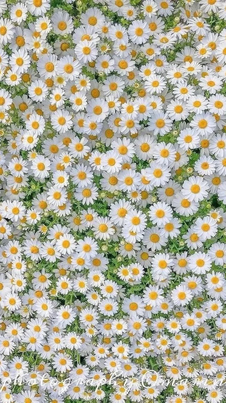 🌻💖โมยุ้ย ห้องงานสตอรี่