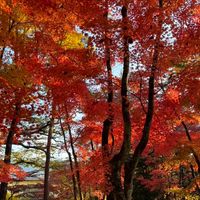 全国の五十代からの友達の輪