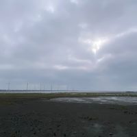 台中人大小事