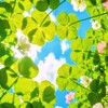 学校しんどい子おいでー！