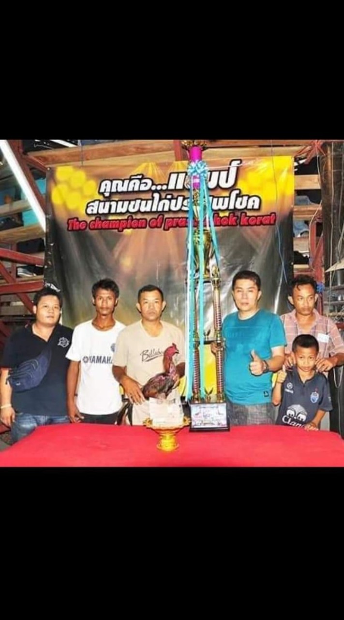 พม่าเหล่า ช.โชคทวี