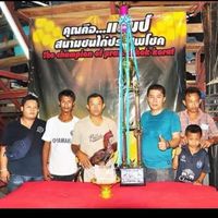 พม่าเหล่า ช.โชคทวี