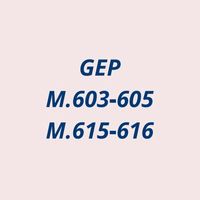 SKR GEP M.6-2022