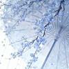 【学生限定】ひまじんおいで！！