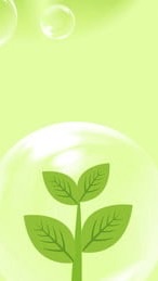 114年度種苗生產技術入門班（數位課程）