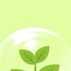 114年度種苗生產技術入門班（數位課程）
