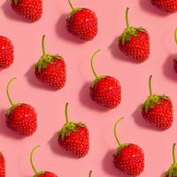 111年度草莓班🍓