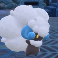 色違い好きが集う場所