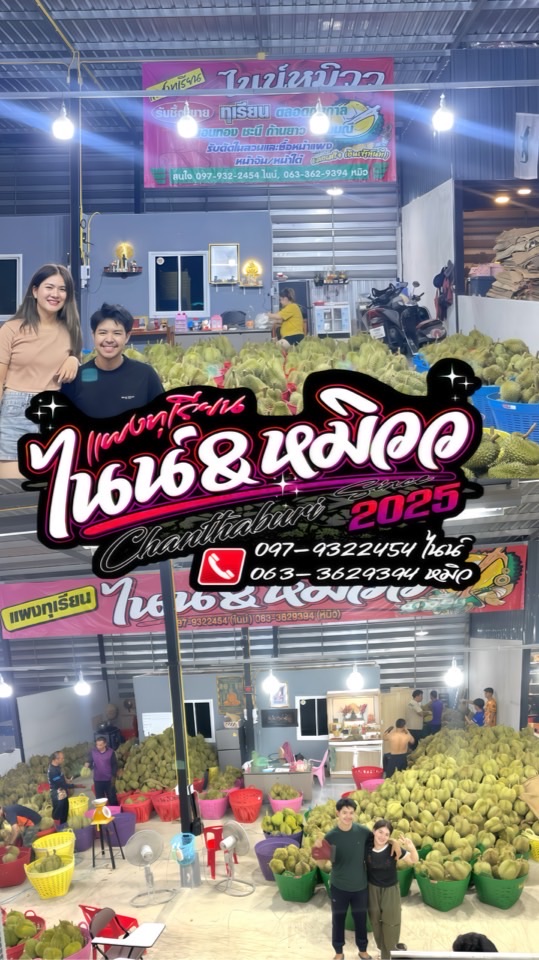 แผงทุเรียนไนน์&หมิววหน้าจัน