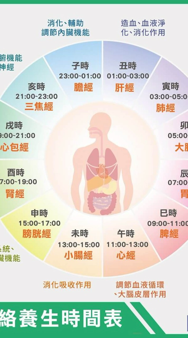 經絡精油芳療工作室