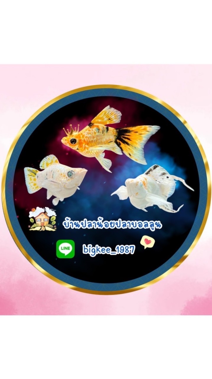 บ้านปลาน้อยปลาบอลลูน🐠🐟