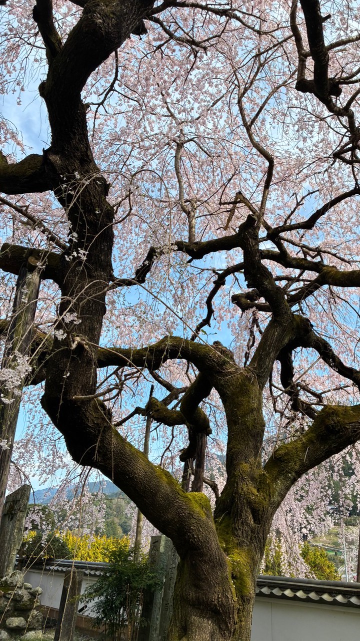 沈み屋相談所