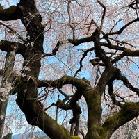 沈み屋相談所