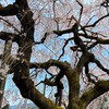 沈み屋相談所