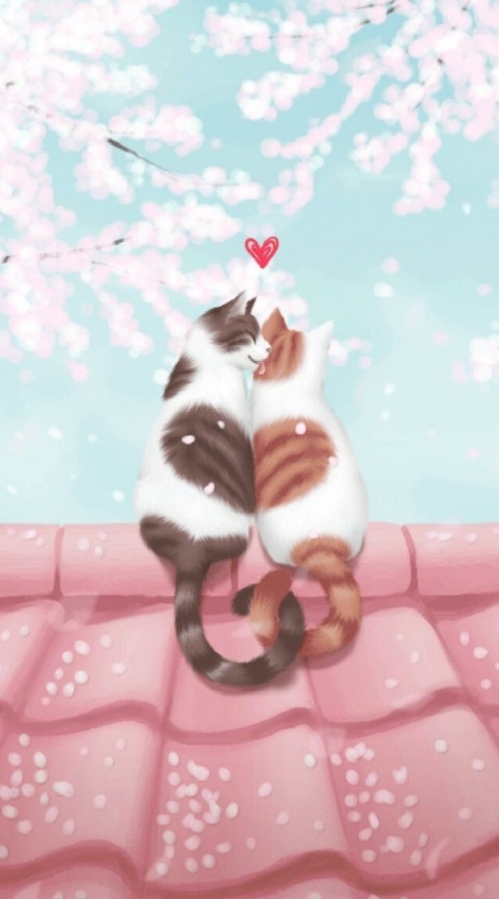 貓咪密密聊天室～🐈