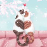 貓咪密密聊天室～🐈