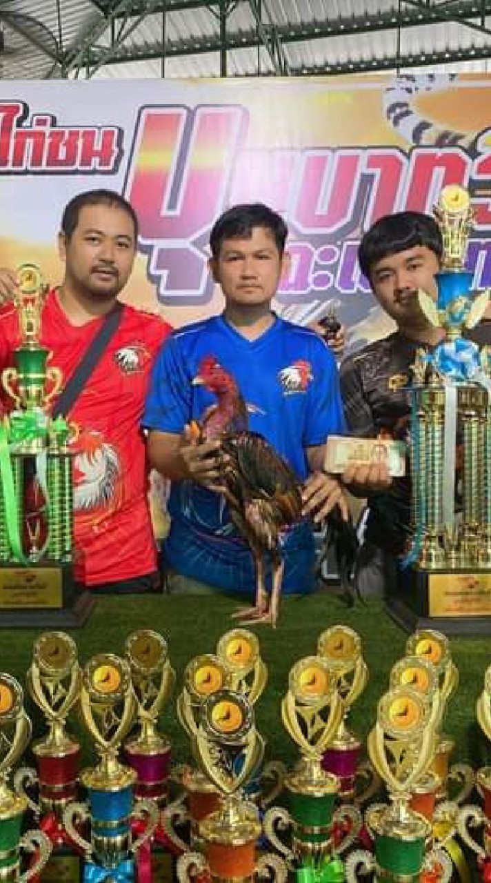 เก่ง ฟาร์มบ้านไร่