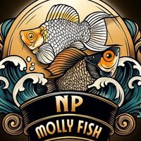 NP Molly Fish