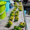 สั่งขนมจีบจี้จิ้ก 0915738234