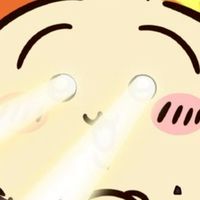 chii chii index