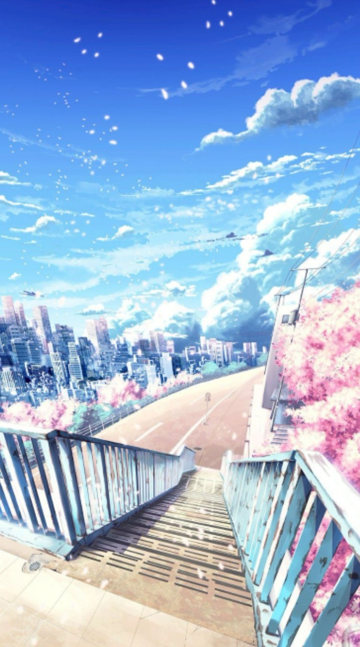 ︵ 秩序 ノ 世界 ヲ .✧