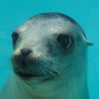 アニコミ練習会🐾