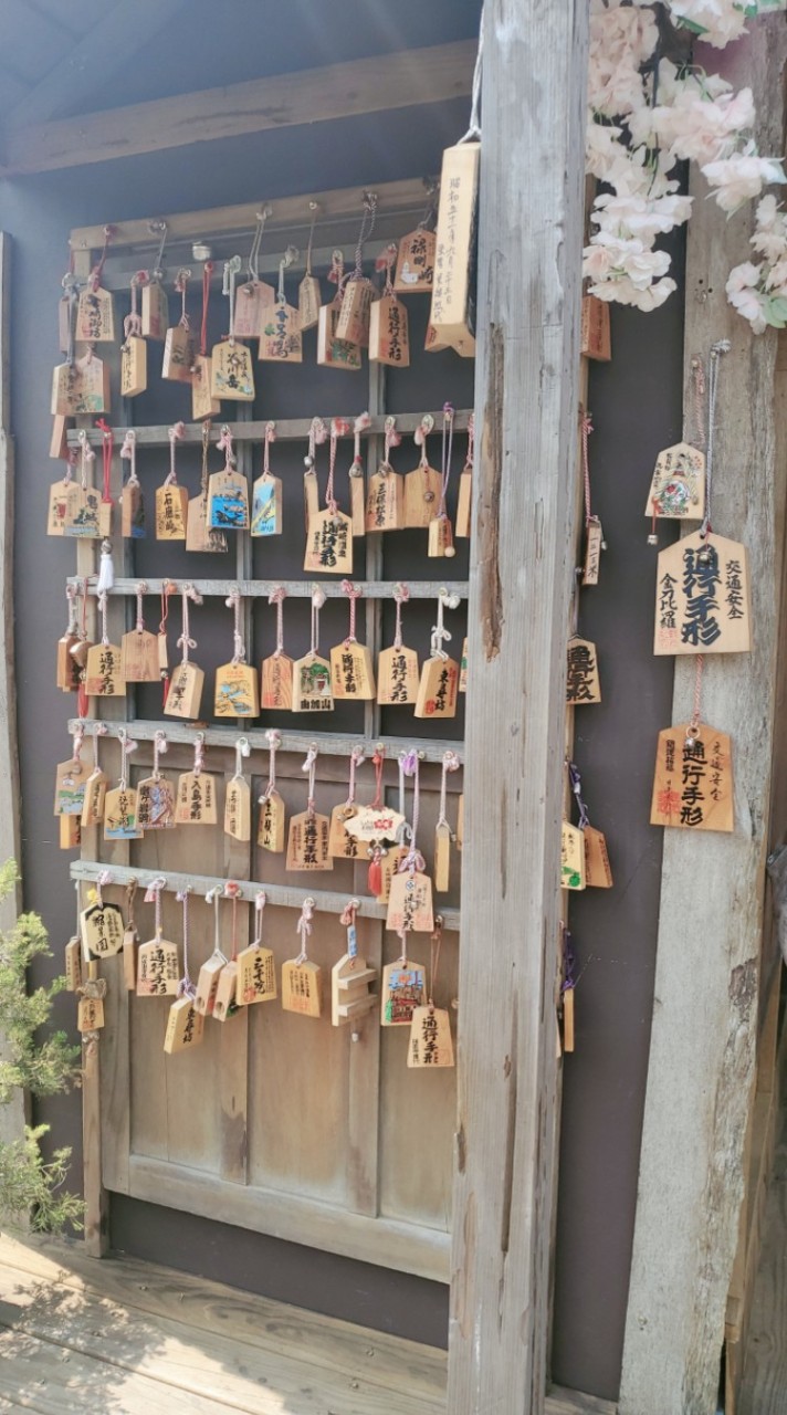 藍軍帝國團隊大家庭