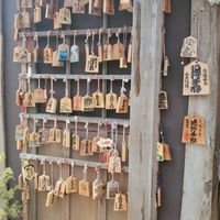藍軍帝國團隊大家庭