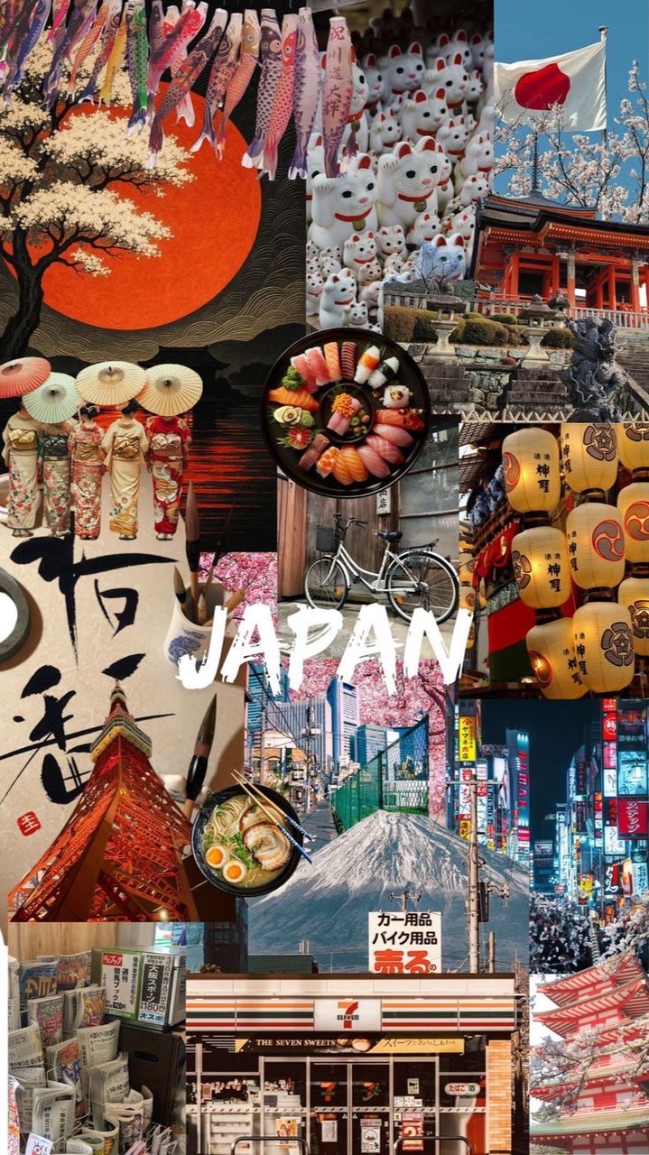 Japanese Program Snws