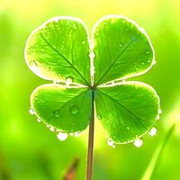 🍀光音秀玉-推推創富群